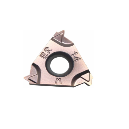 16 ERM 19 W LDA Пластина резьбовая